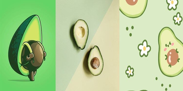 Hơn 200 hình quả bơ, hình nền trái bơ đáng yêu và hình nền trái bơ FULL HD cho điện thoại