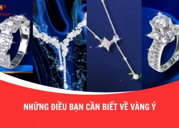 Nhung Dieu Ban Can Biet Ve Vang Y 1
